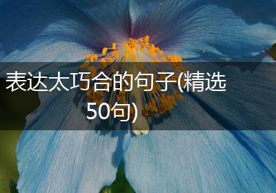 表达太巧合的句子(精选50句)