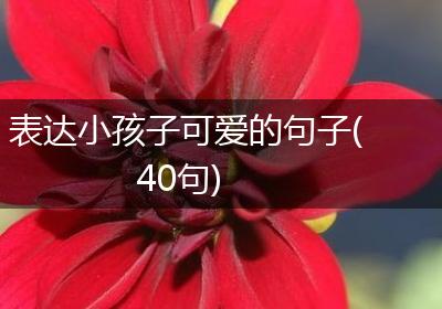 表达小孩子可爱的句子(40句)