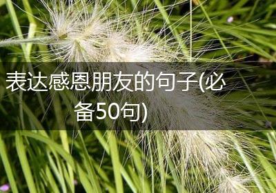 表达感恩朋友的句子(必备50句)