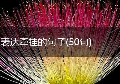 表达牵挂的句子(50句)