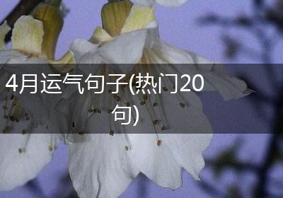 4月运气句子(热门20句)