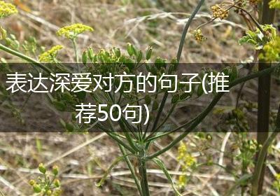 表达深爱对方的句子(推荐50句)