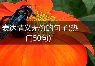 表达情义无价的句子(热门50句)
