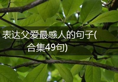 表达父爱最感人的句子(合集49句)