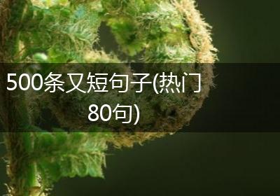 500条又短句子(热门80句)