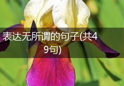 表达无所谓的句子(共49句)