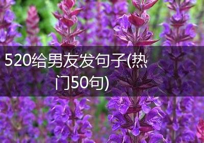 520给男友发句子(热门50句)