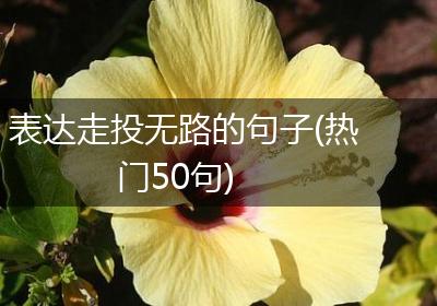 表达走投无路的句子(热门50句)