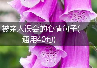被亲人误会的心情句子(通用40句)