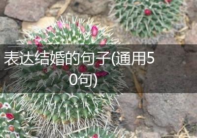 表达结婚的句子(通用50句)