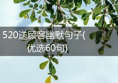 520送顾客幽默句子(优选60句)