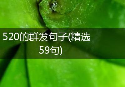 520的群发句子(精选59句)
