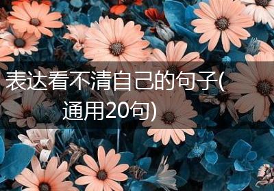 表达看不清自己的句子(通用20句)