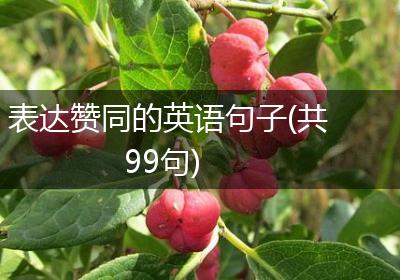 表达赞同的英语句子(共99句)