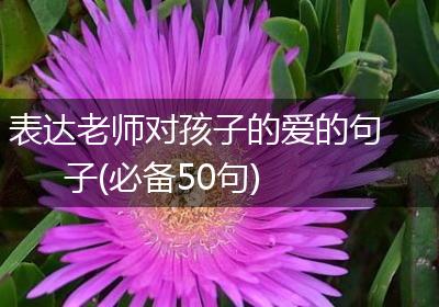 表达老师对孩子的爱的句子(必备50句)