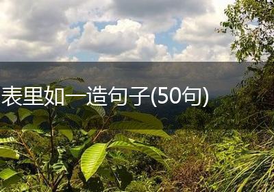 表里如一造句子(50句)
