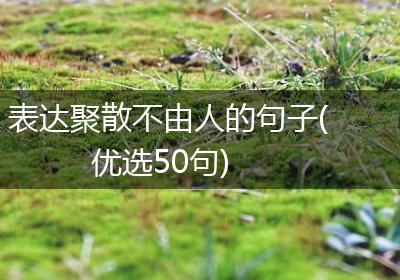 表达聚散不由人的句子(优选50句)