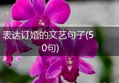 表达订婚的文艺句子(50句)