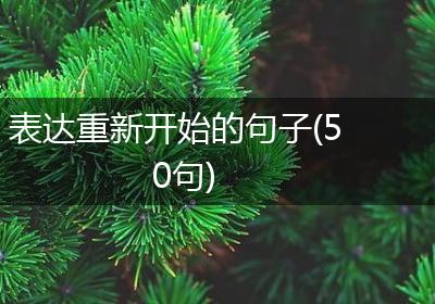 表达重新开始的句子(50句)