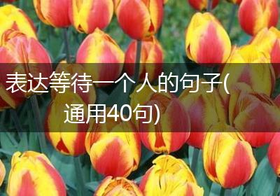 表达等待一个人的句子(通用40句)