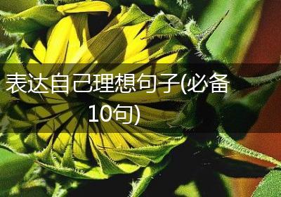 表达自己理想句子(必备10句)