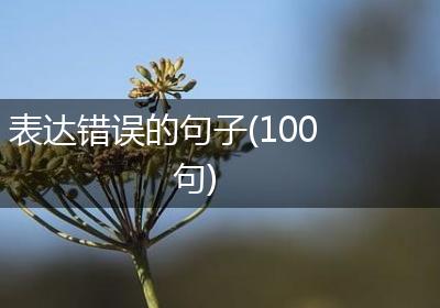 表达错误的句子(100句)