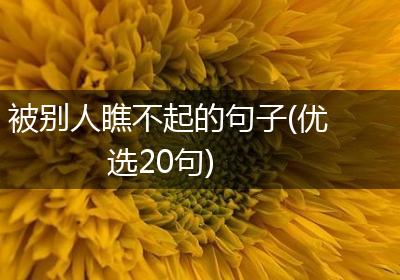 被别人瞧不起的句子(优选20句)