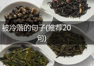 被冷落的句子(推荐20句)