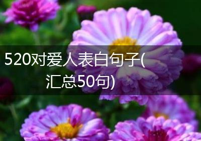 520对爱人表白句子(汇总50句)