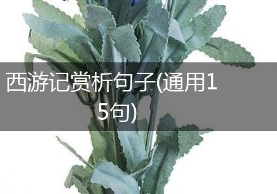 西游记赏析句子(通用15句)