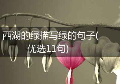 西湖的绿描写绿的句子(优选11句)
