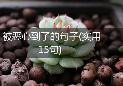 被恶心到了的句子(实用15句)