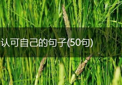 认可自己的句子(50句)