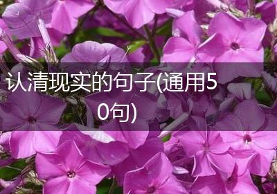 认清现实的句子(通用50句)