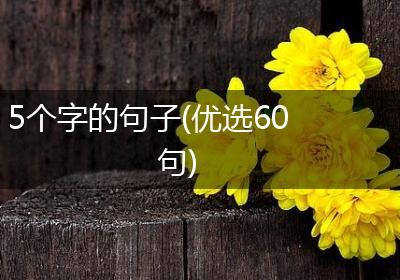 5个字的句子(优选60句)