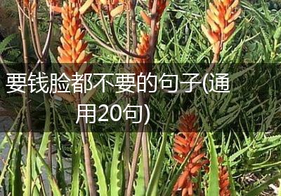 要钱脸都不要的句子(通用20句)