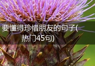 要懂得珍惜朋友的句子(热门45句)