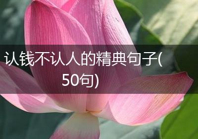 认钱不认人的精典句子(50句)