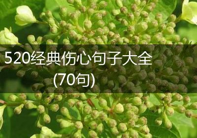 520经典伤心句子大全(70句)