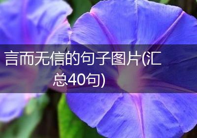言而无信的句子图片(汇总40句)