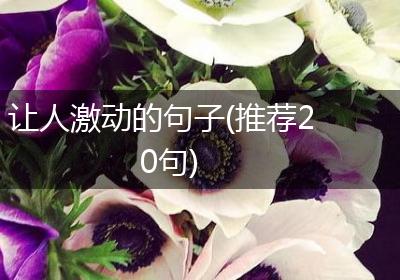 让人激动的句子(推荐20句)
