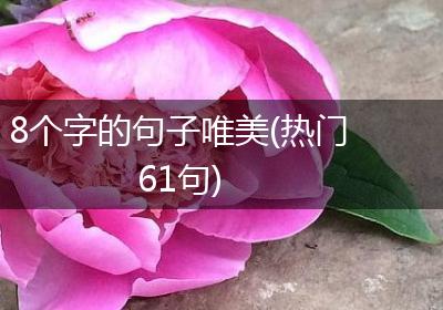 8个字的句子唯美(热门61句)