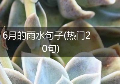 6月的雨水句子(热门20句)