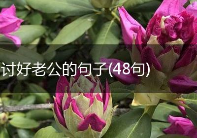 讨好老公的句子(48句)