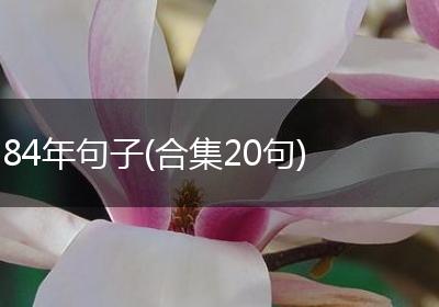84年句子(合集20句)
