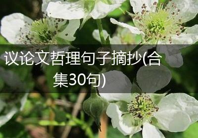 议论文哲理句子摘抄(合集30句)
