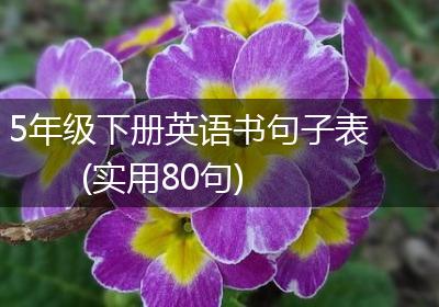 5年级下册英语书句子表(实用80句)