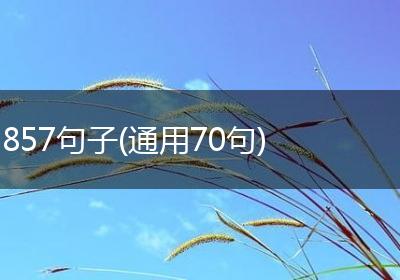 857句子(通用70句)