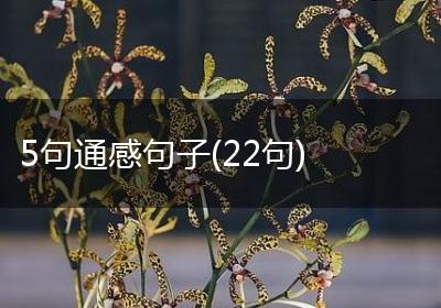 5句通感句子(22句)