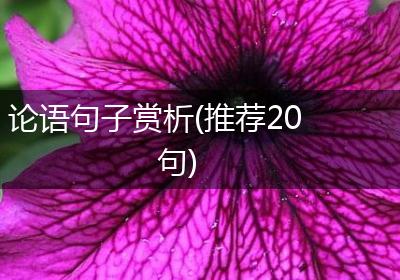 论语句子赏析(推荐20句)